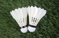 雷速体育直播官网-泰国羽毛球队逆转法国羽毛球队，谌龙绝境逆转引爆全场激情