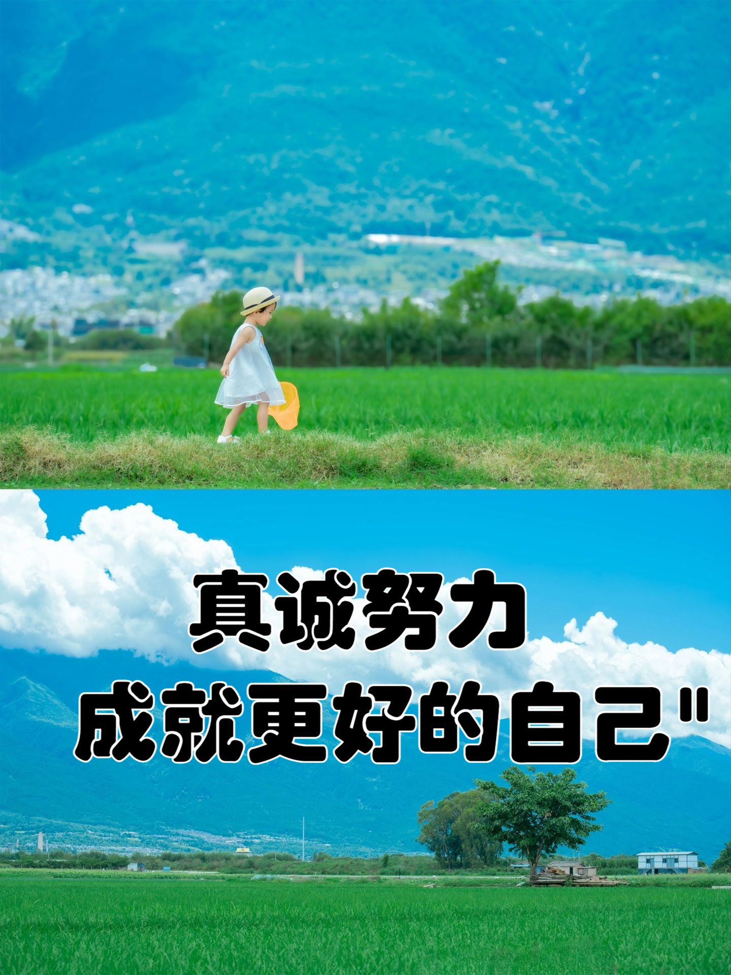 包含球员态度积极努力所有事项不断进步的词条