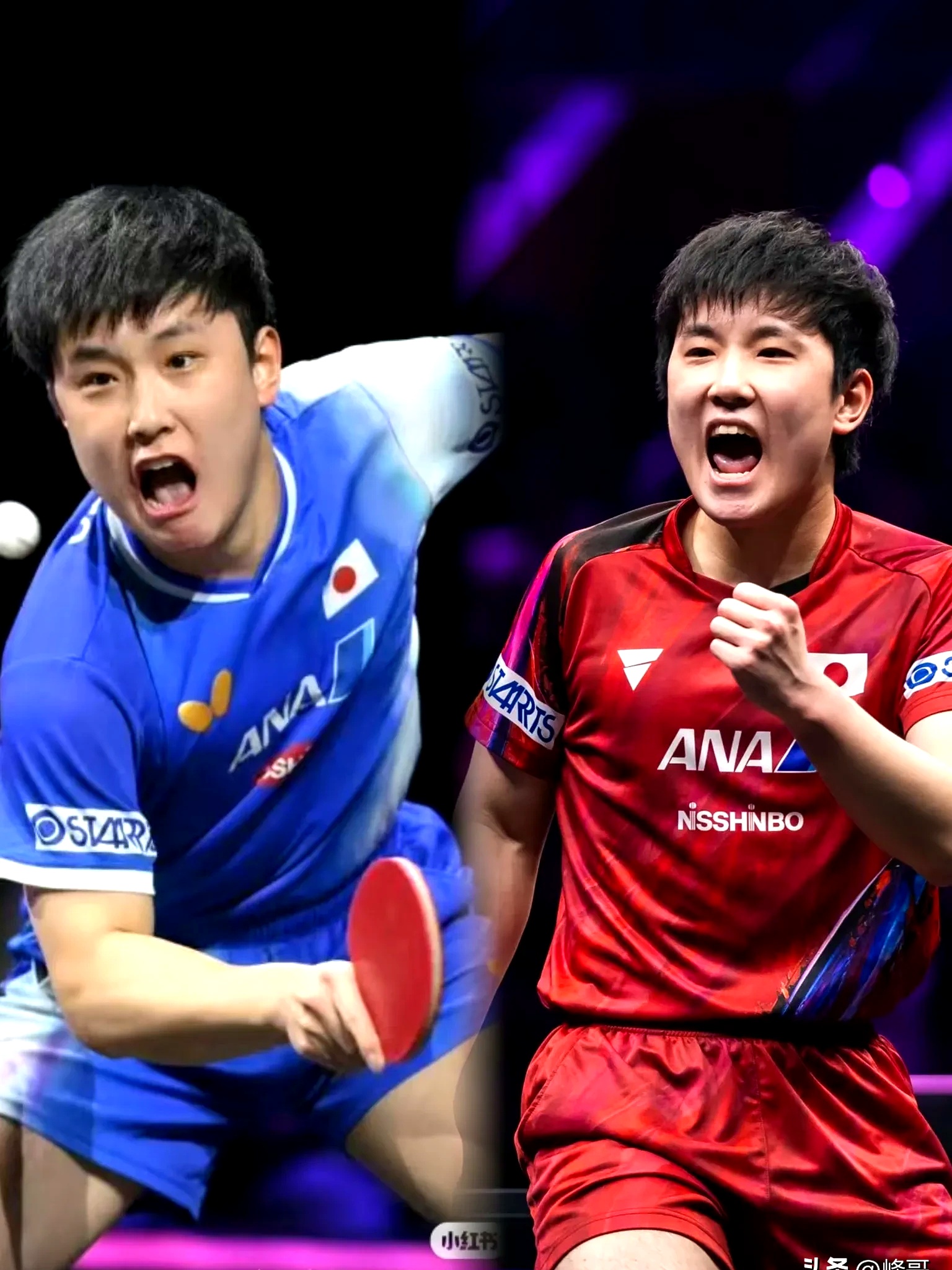 中国乒乓球队逆转法国乒乓球队,张本智和惊艳世界的简单介绍 中国乒乓球队逆转法国乒乓球队,张本智和惊艳世界的简单介绍